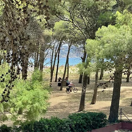 La Pineda 12