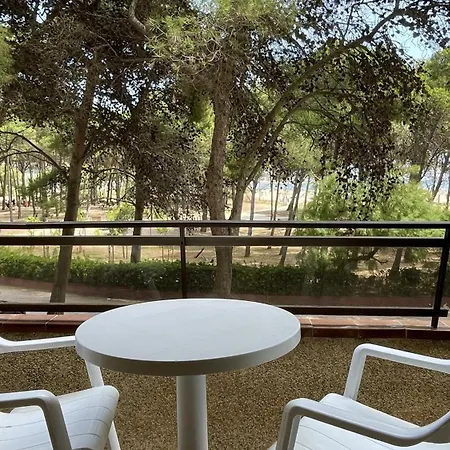La Pineda 12